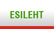 Esileht