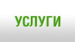 Услуги
